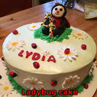 ladybug